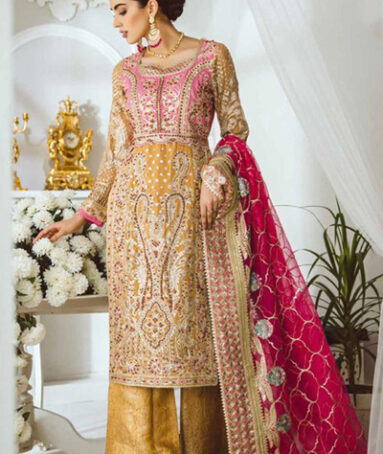 Handmade Chiffon Women Embroidered Outfit