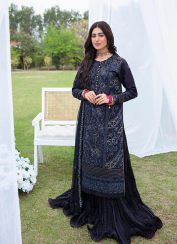 Dyed Embroidered Chiffon Dupatta Dress